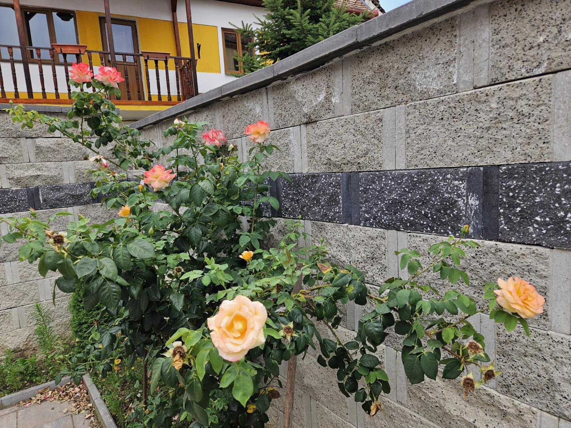 Casa Raduly - Apartament Demisol ซีบิว ภายนอก รูปภาพ